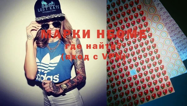 молекула духа Лабытнанги