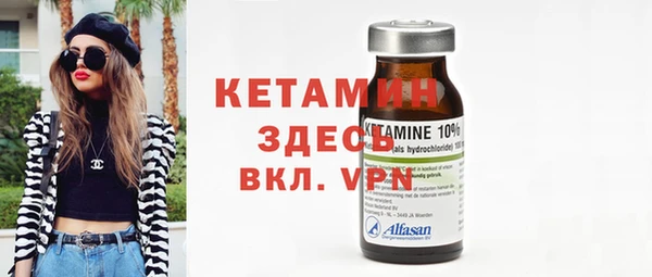 крисы Кулебаки
