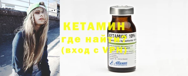 крисы Кулебаки