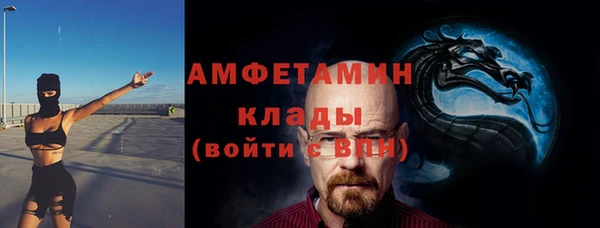 крисы Кулебаки