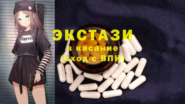 крисы Кулебаки
