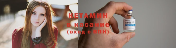 крисы Кулебаки