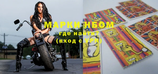 крисы Кулебаки