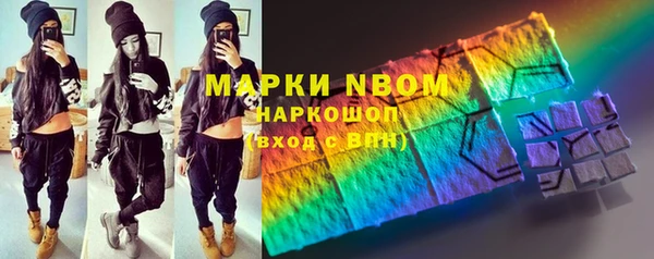 молекула духа Лабытнанги