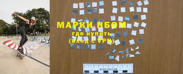 крисы Кулебаки