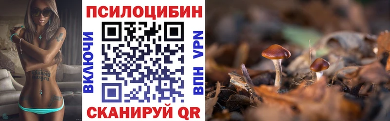 Купить  Великий Устюг  Галлюциногенные грибы Magic Shrooms 
